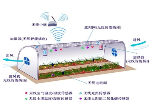 智慧溫室大棚物聯(lián)網(wǎng)應(yīng)用案例